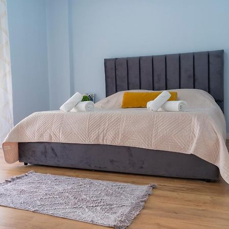 Cane Apartment New Bazaar Тирана Экстерьер фото